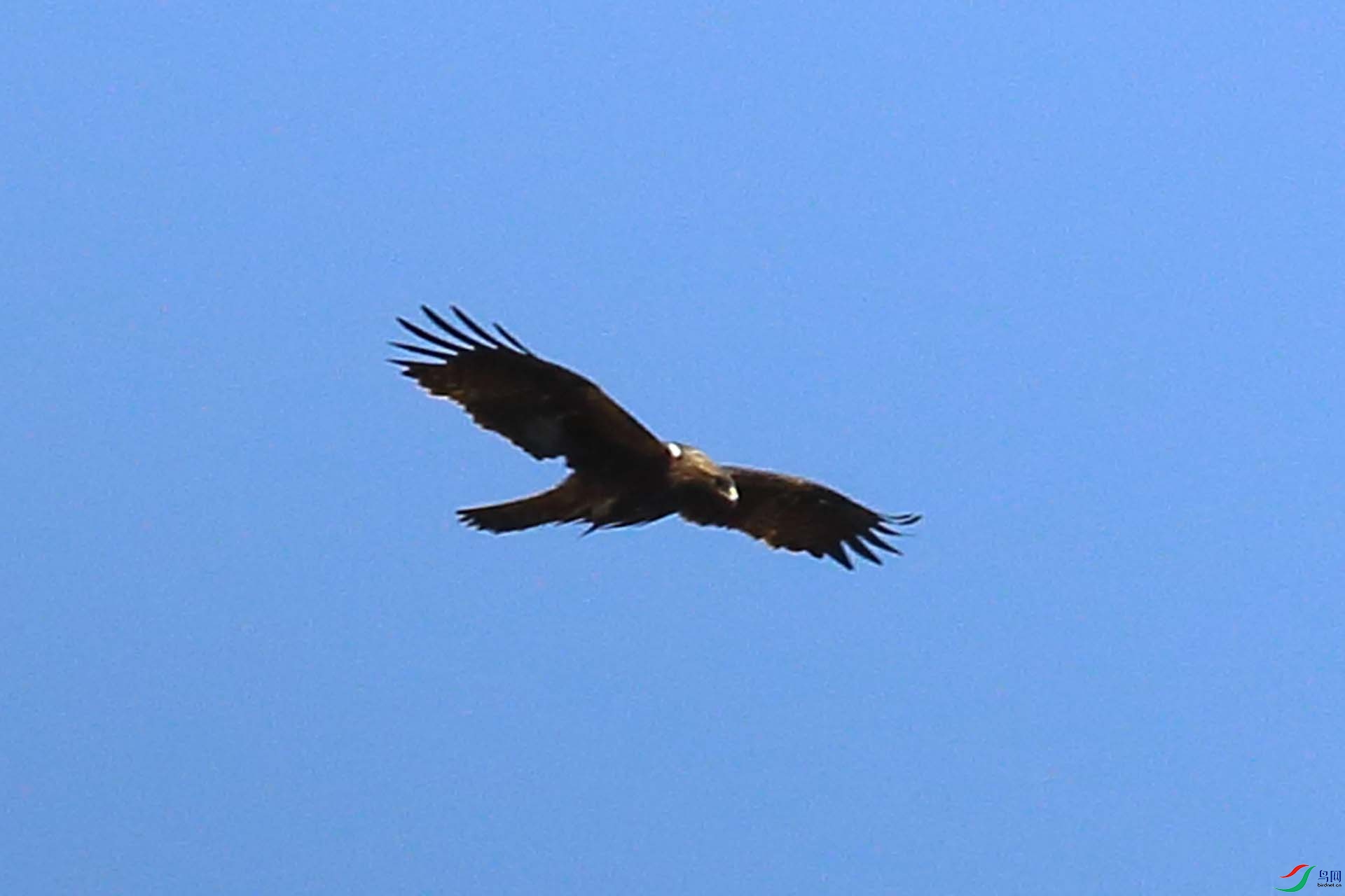 IMG_5752.JPG