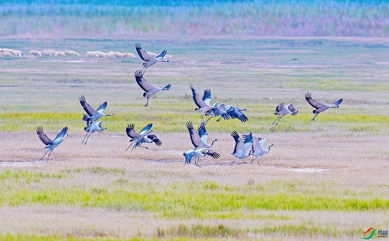 DSC_1685.jpg
