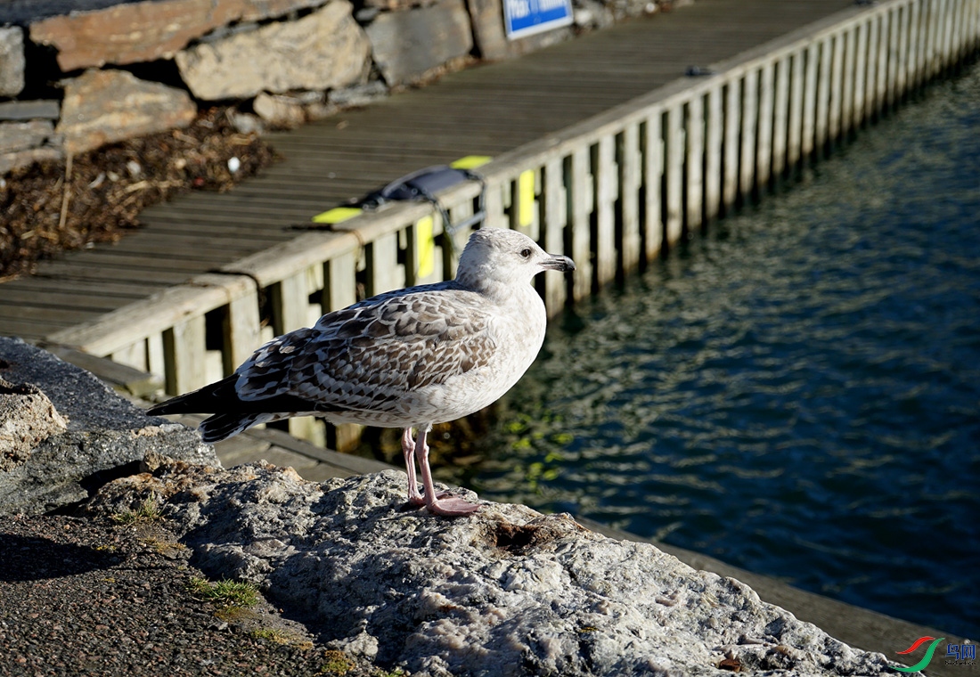 DSC00684.JPG