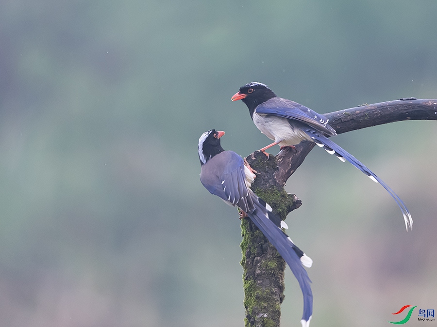 DSC_4505.jpg