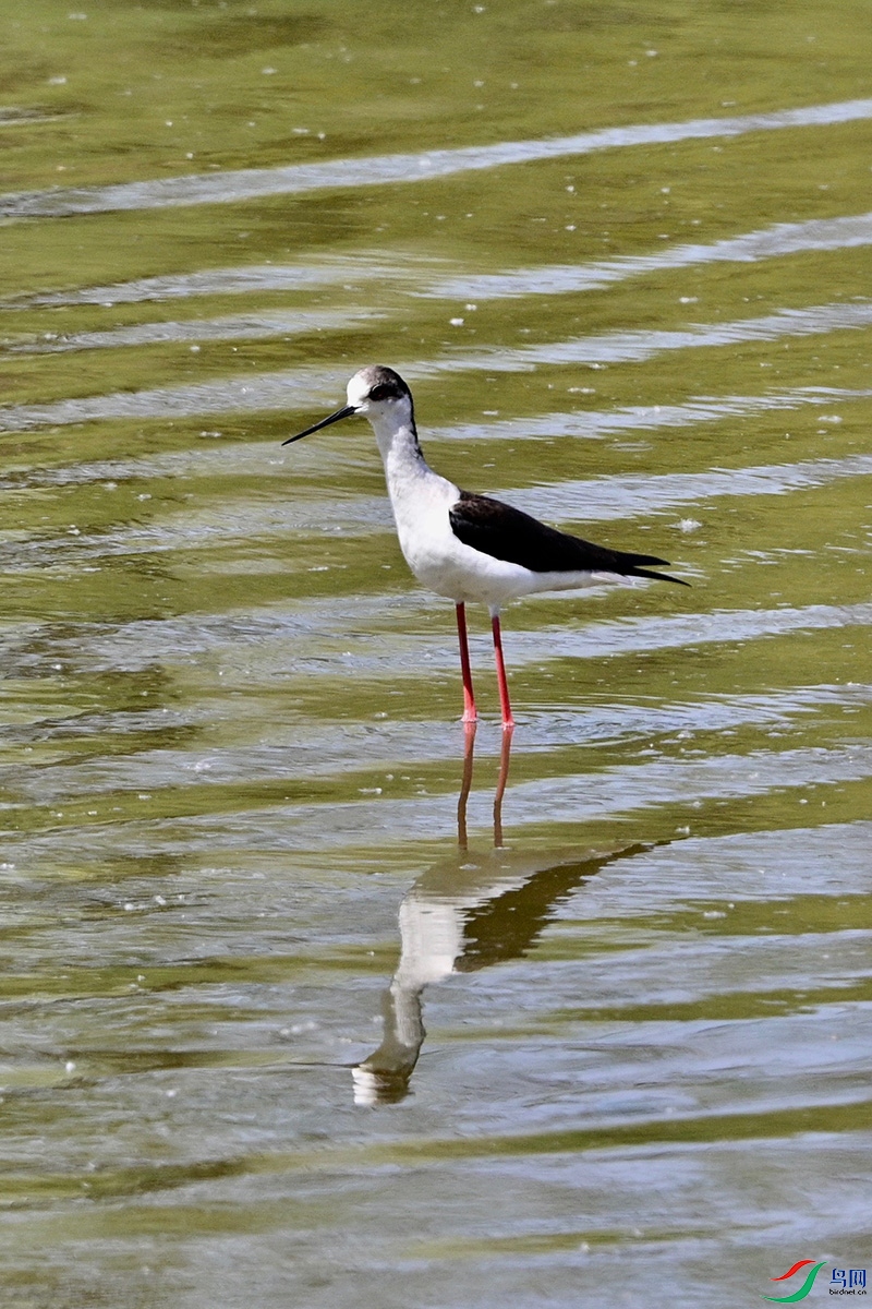DSC_9082.jpg