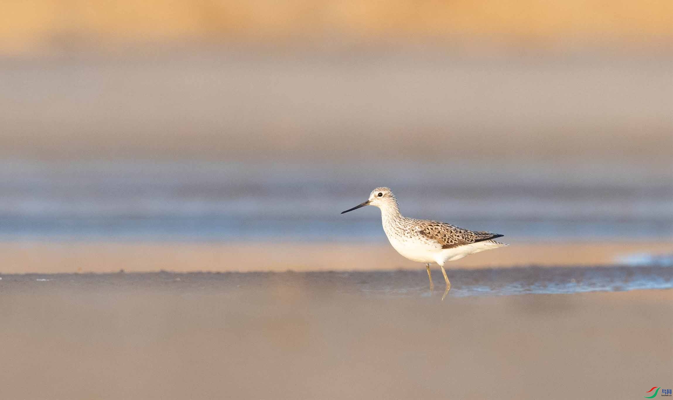 DSC_2786-3.jpg