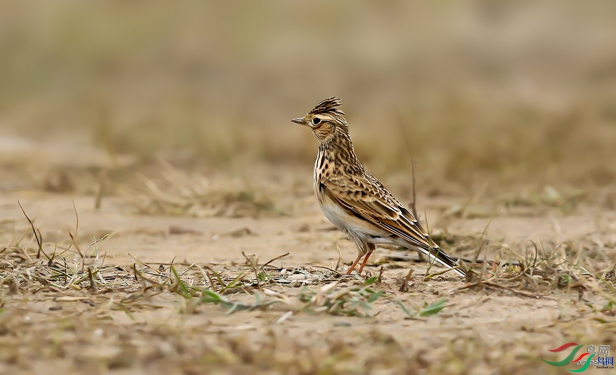 ����09  ��ʦ�����ڱ�����������.jpg