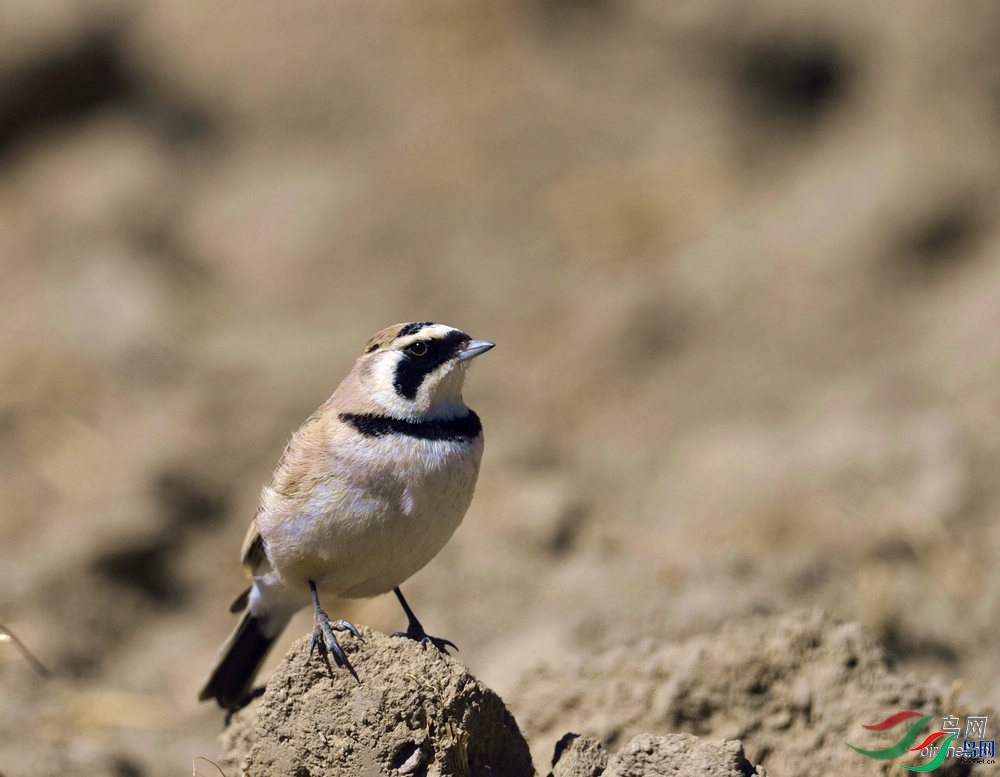 ֪������  ��ʦ��������.��.jpg