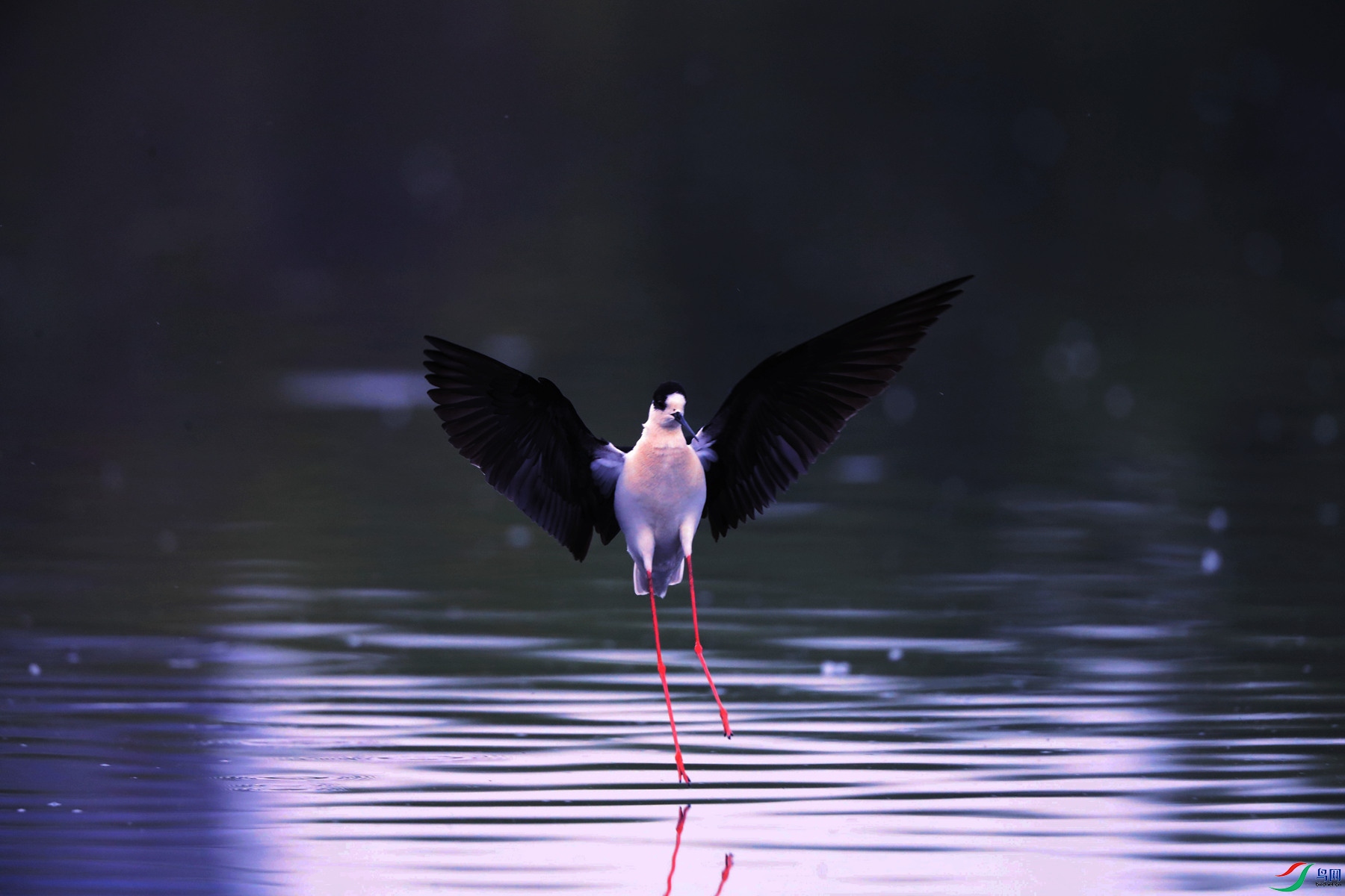 B53I2634_����.jpg