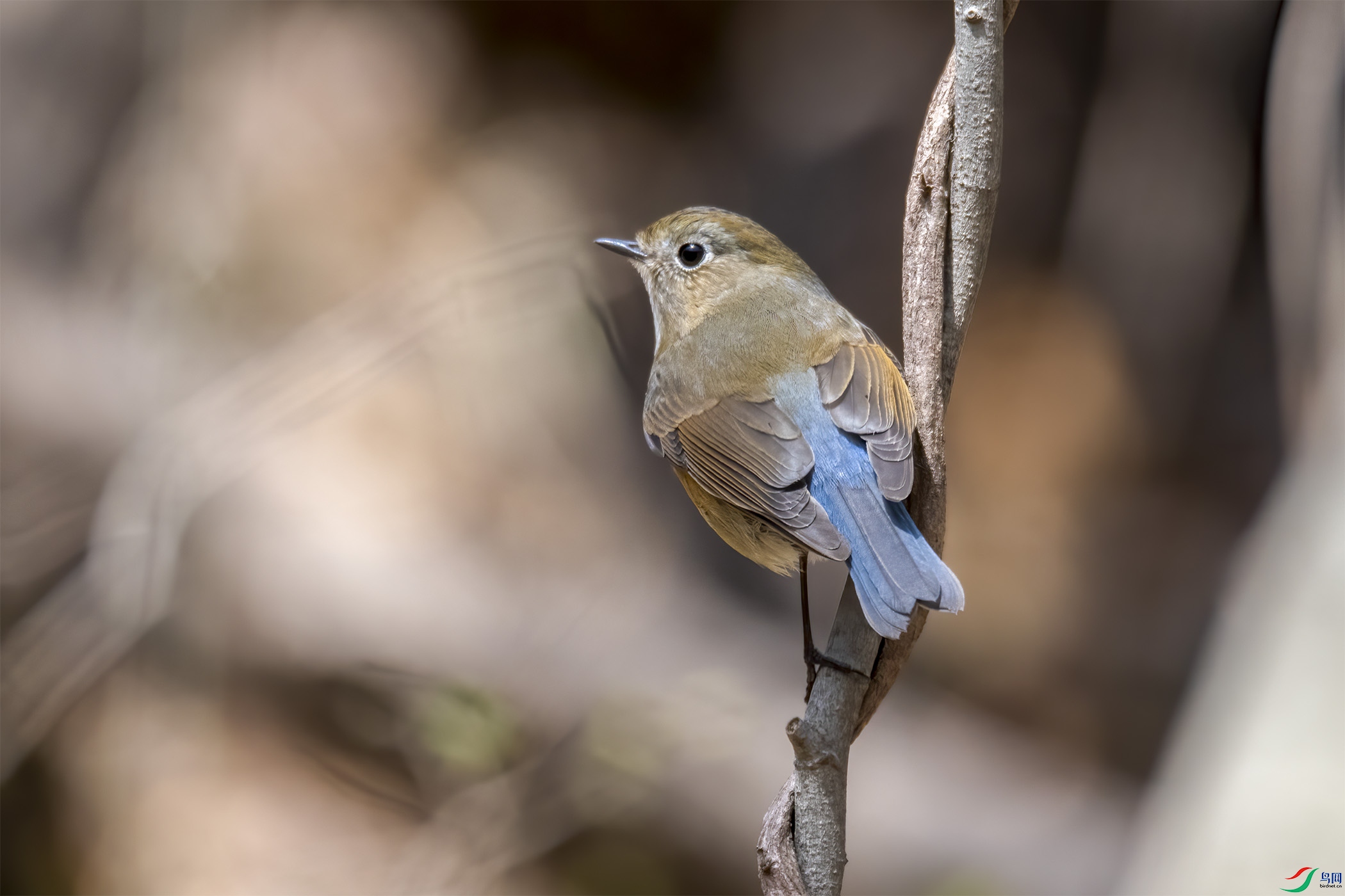 DSC_5697-1.jpg