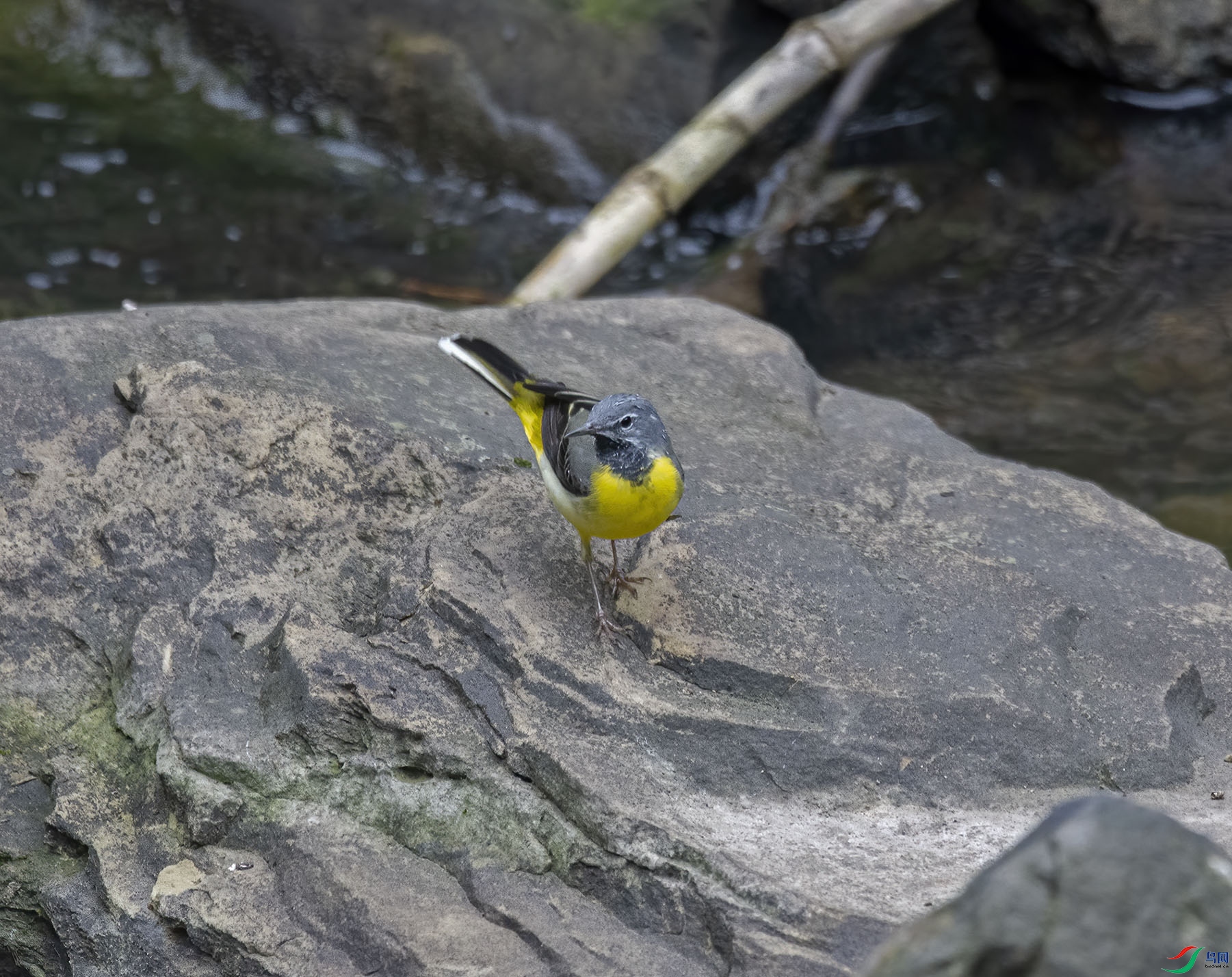 DSC_8569.jpg