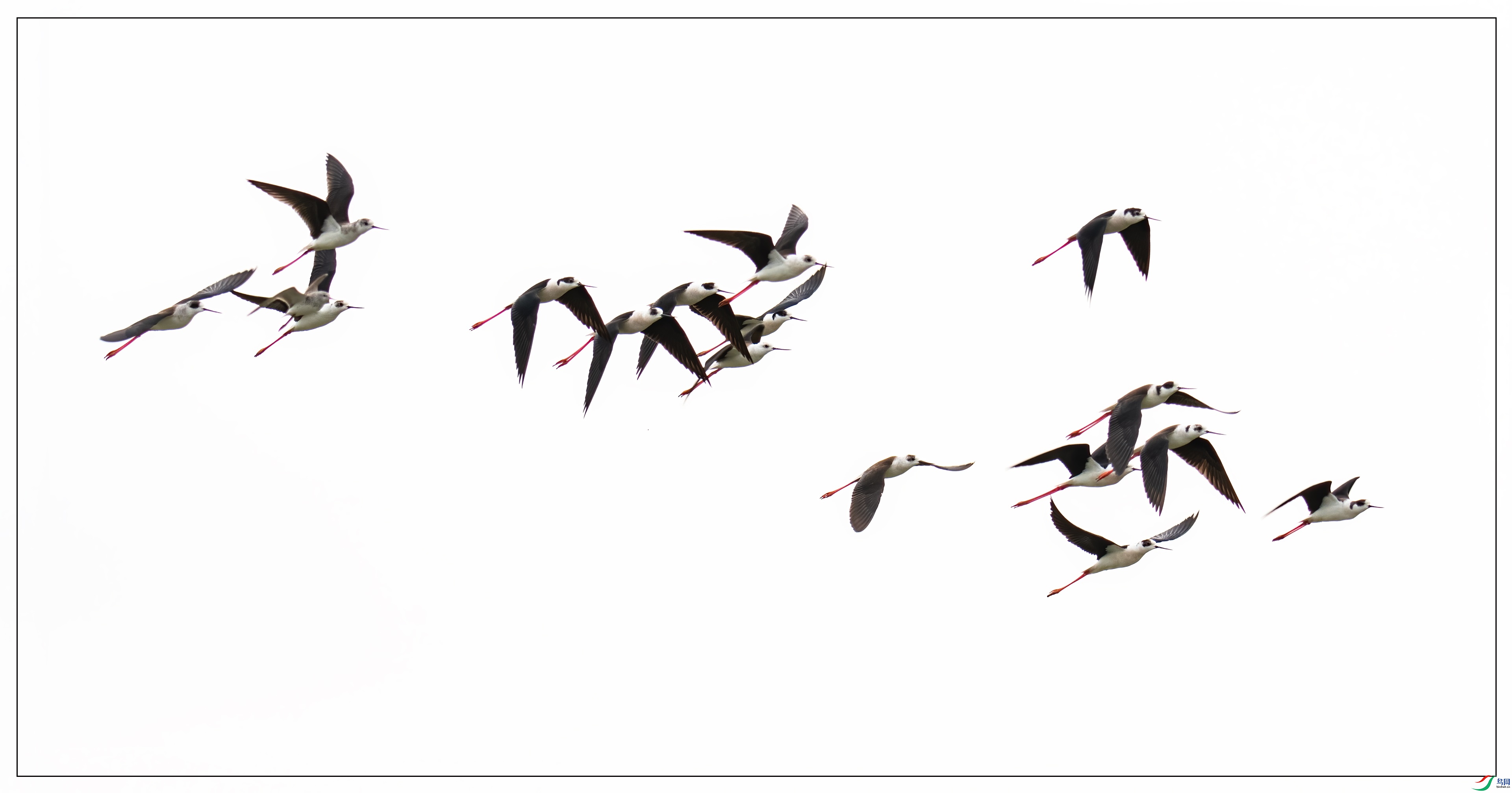 ���û���������