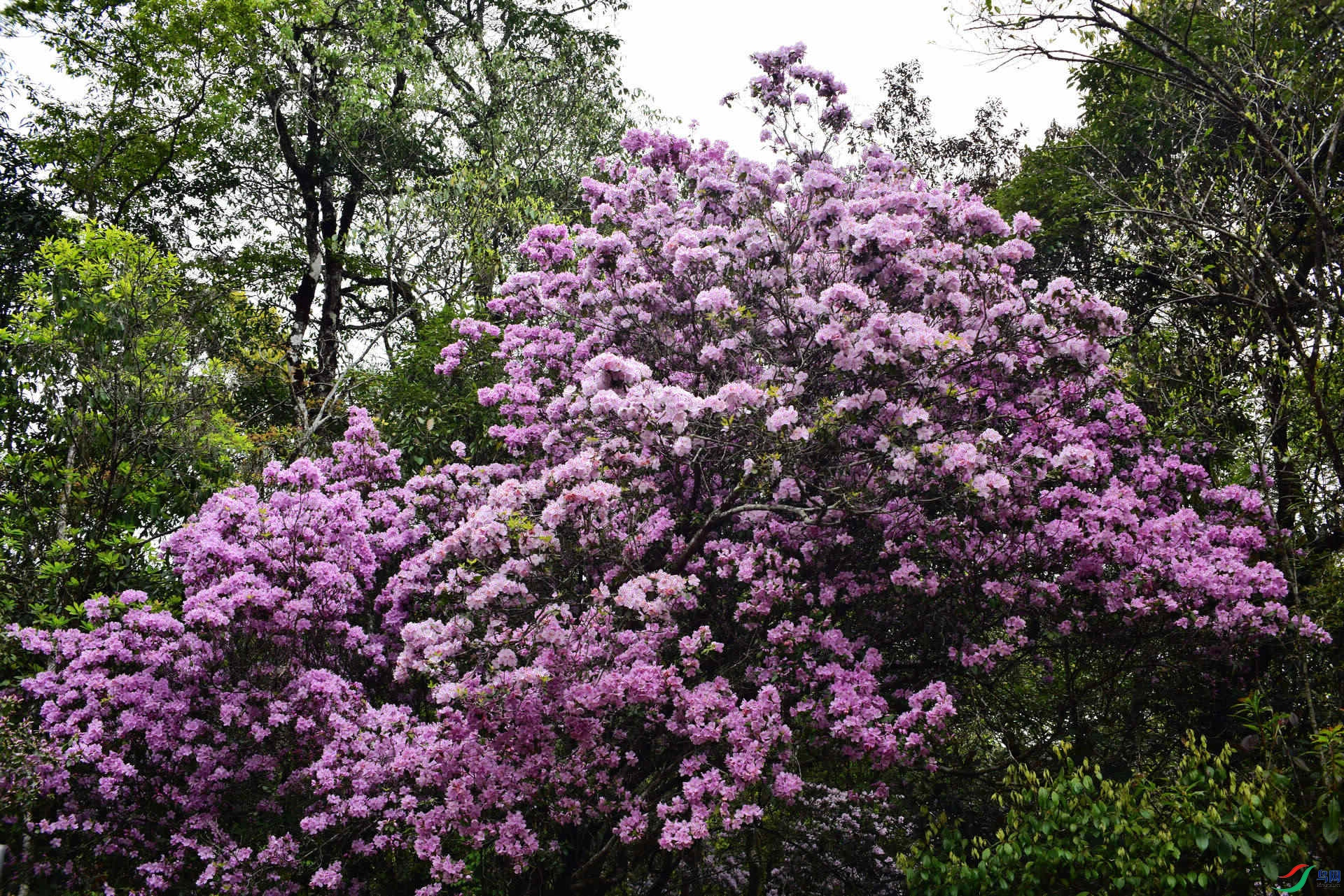 D8I_0402.jpg