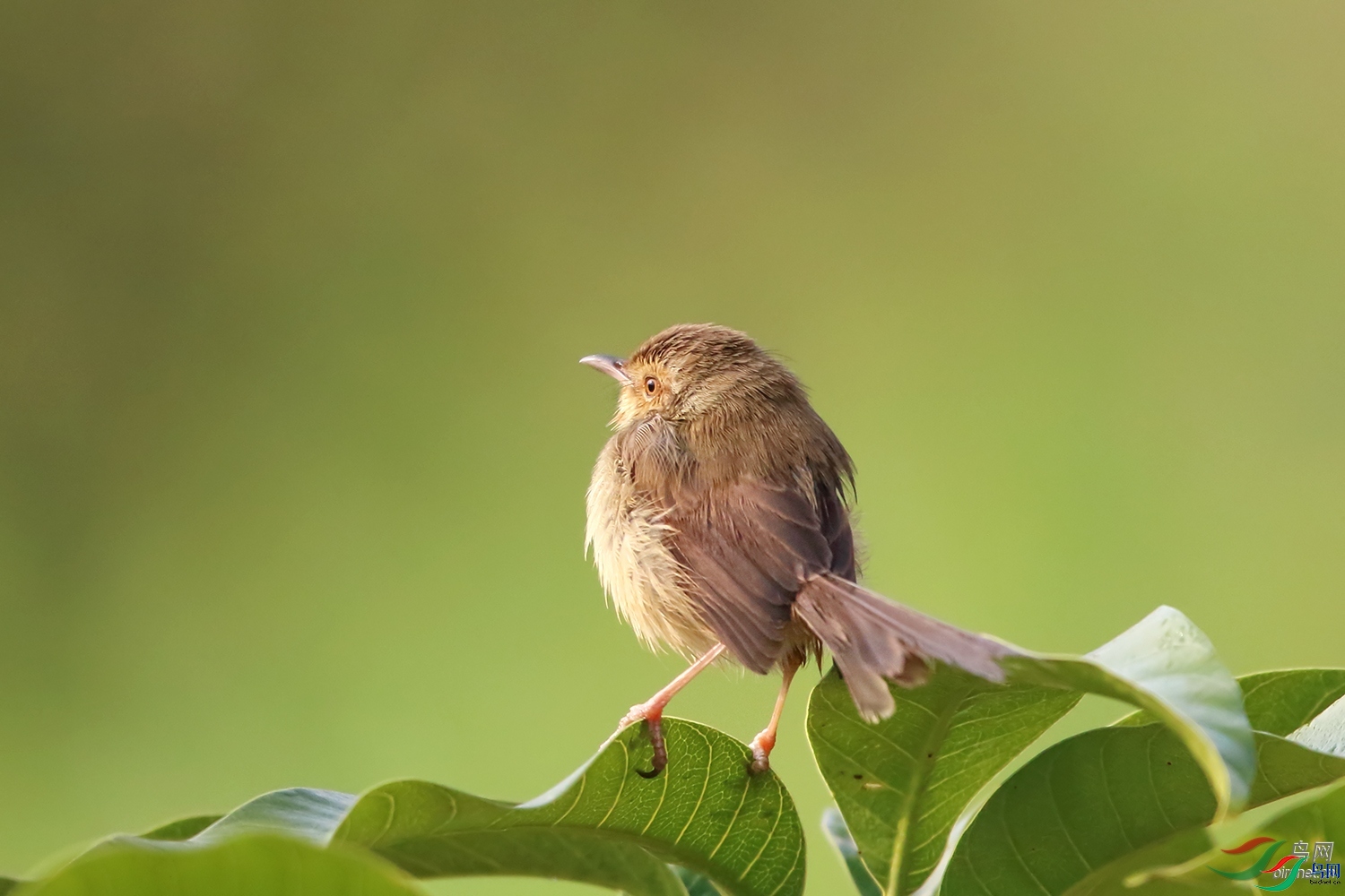 ����  ��ʦ����������ʡ��ɽ��.jpg