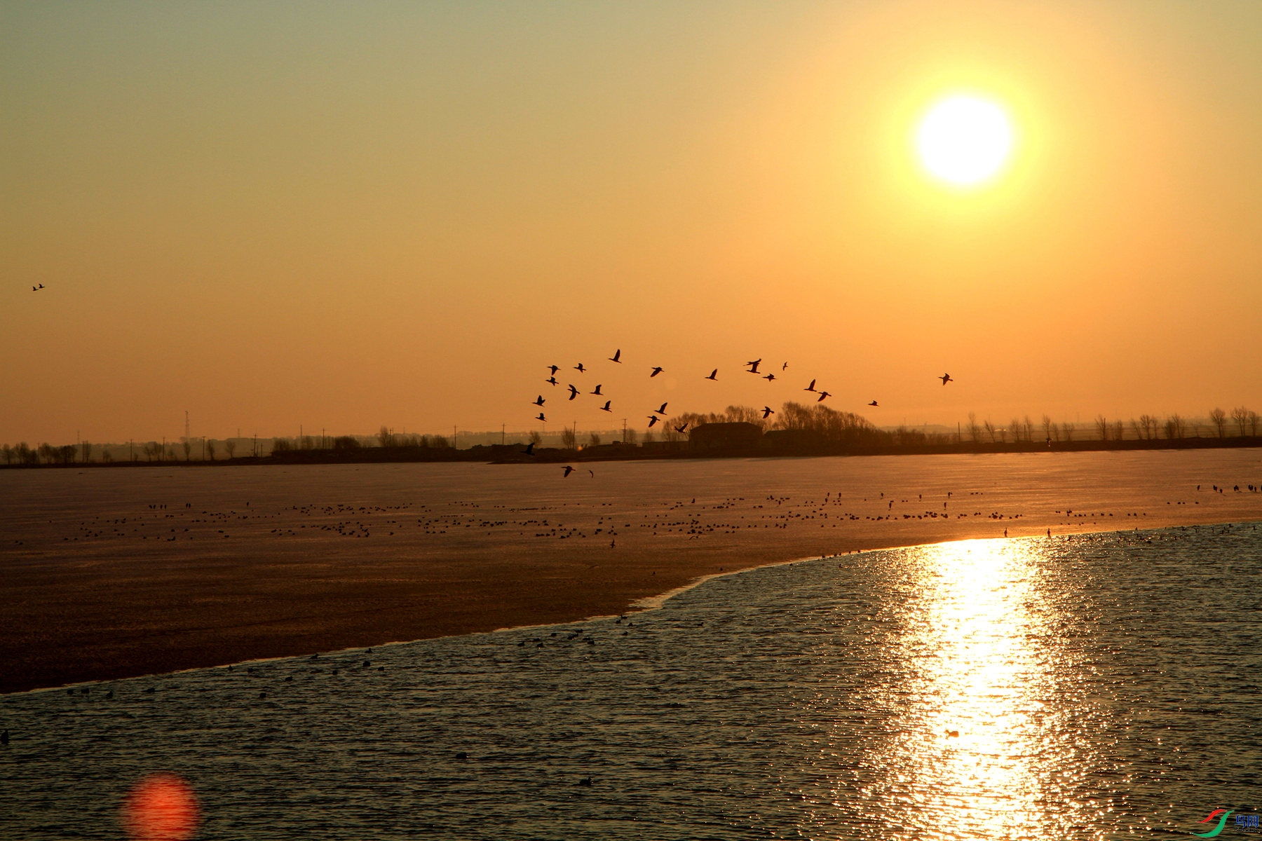 ��Ϊ���  (6).jpg