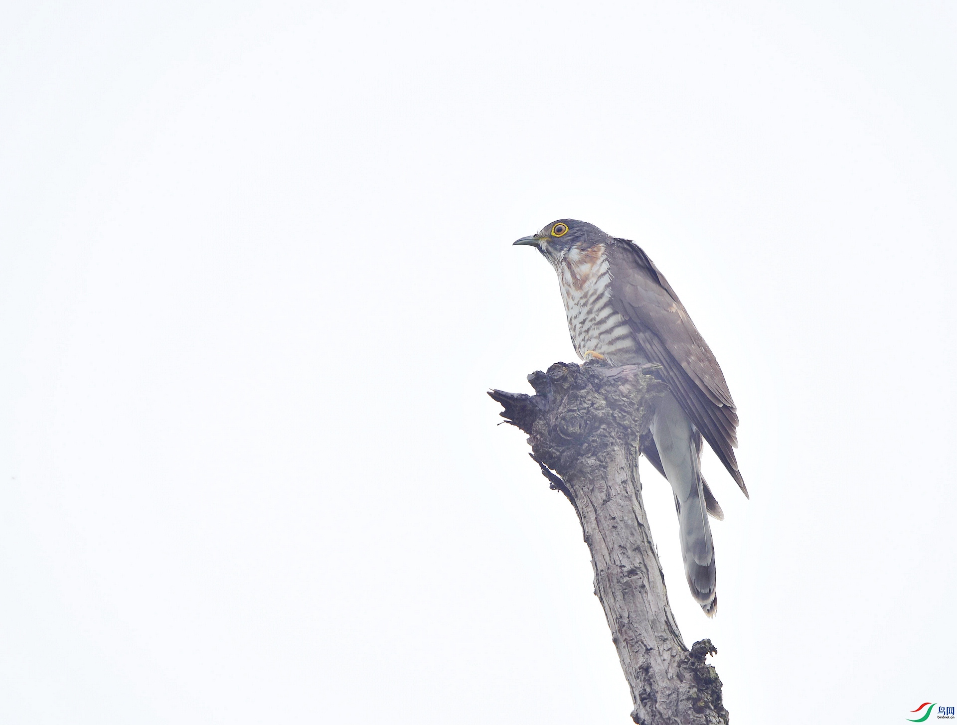 D8I_1802.jpg