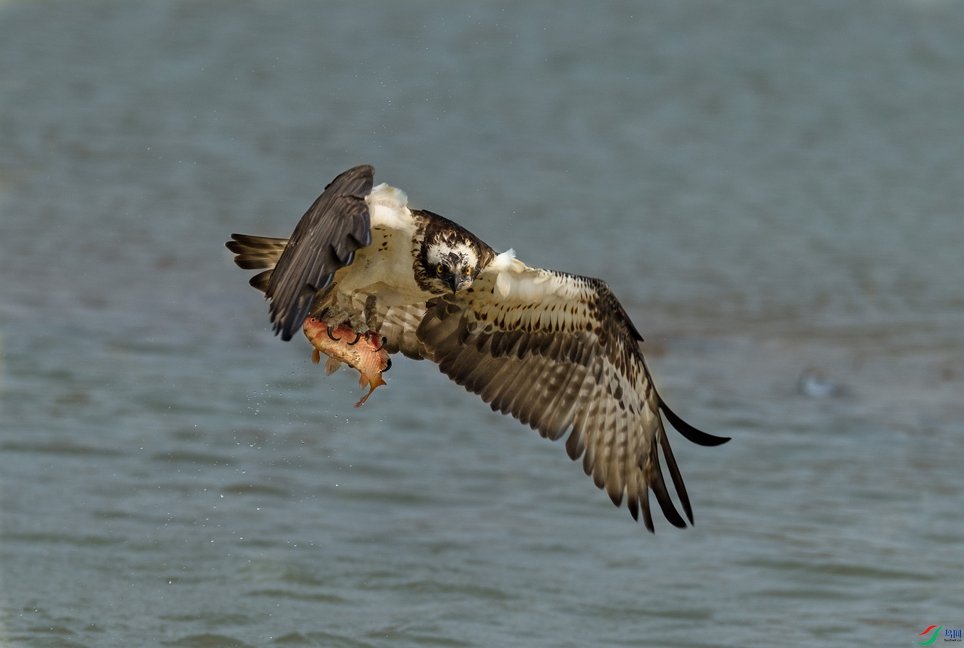 DSC_8115.jpg