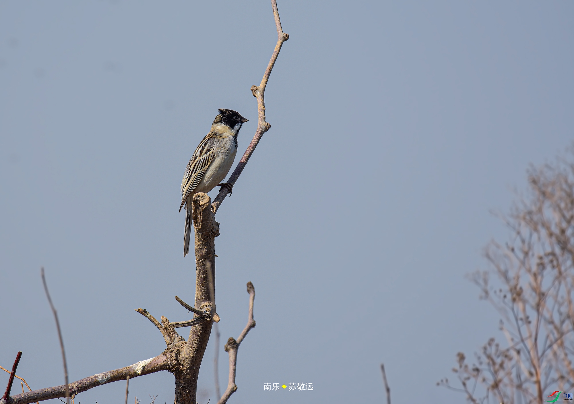 _DSC3346С.jpg