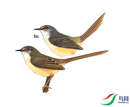 �ޱ���.jpg