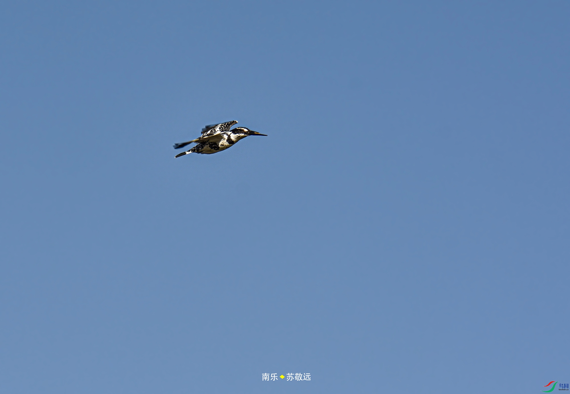 _DSC4248С.jpg
