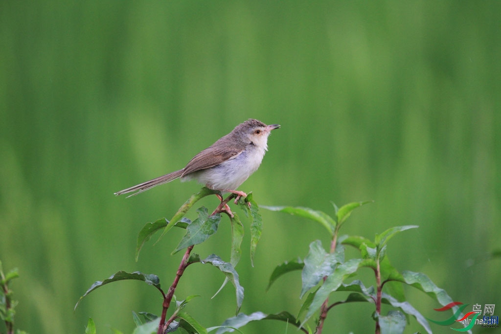 ��������  ��ʦ����������ʡ������.jpg