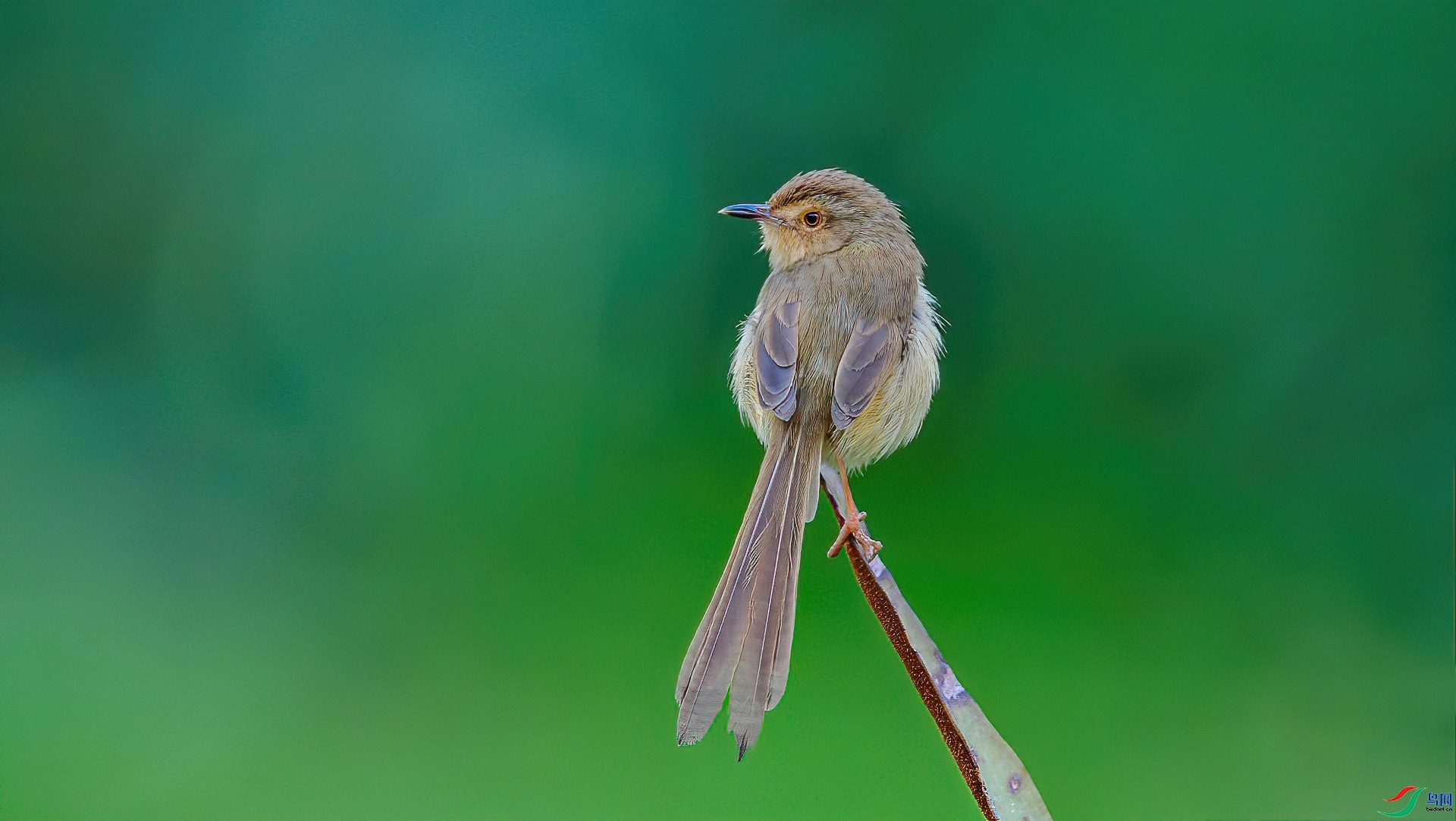 ������  ��ʦ�����ڹ���׳��������������.jpg