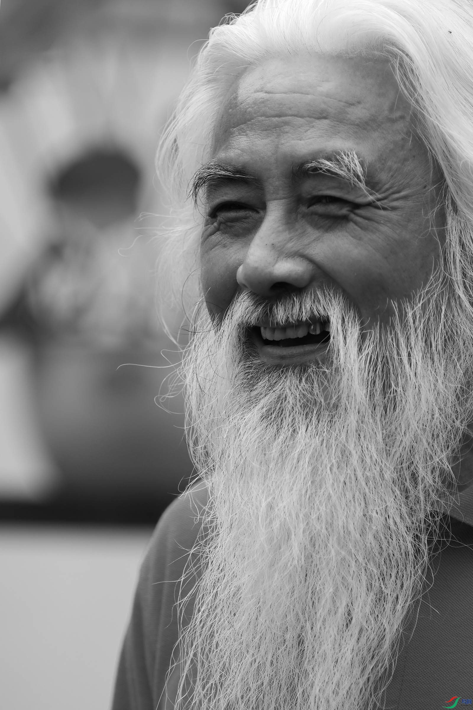 美须公祝贺荣获黑白影像首页精华