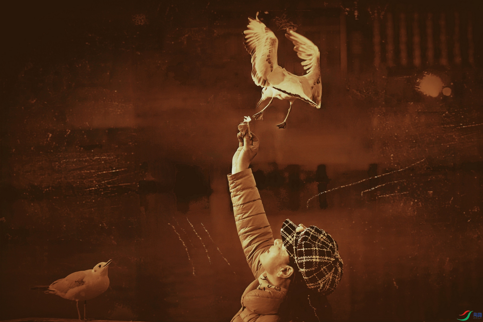 20210028.�޸�����ʵ��������Ȼ��г