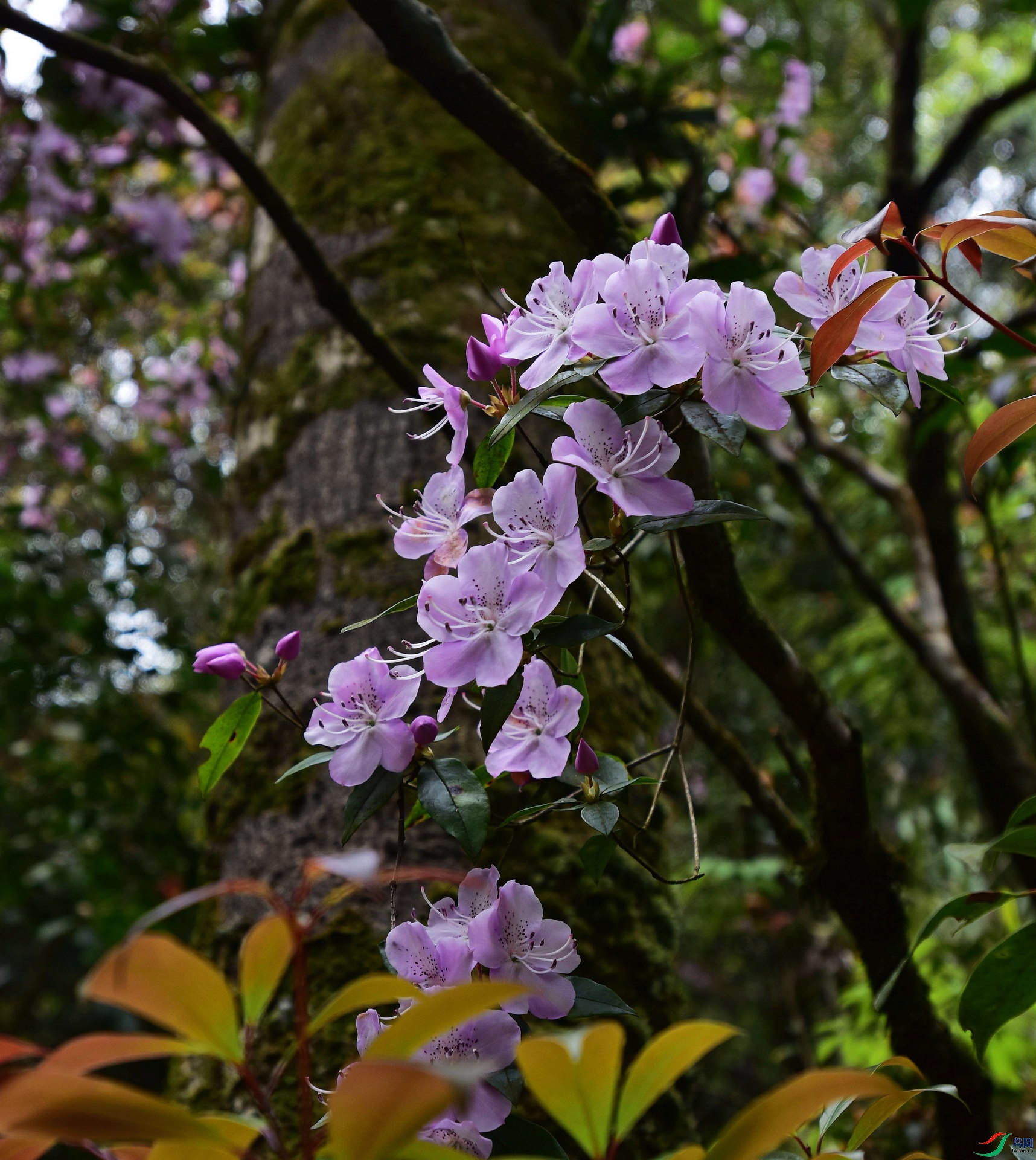 D8I_0705.jpg