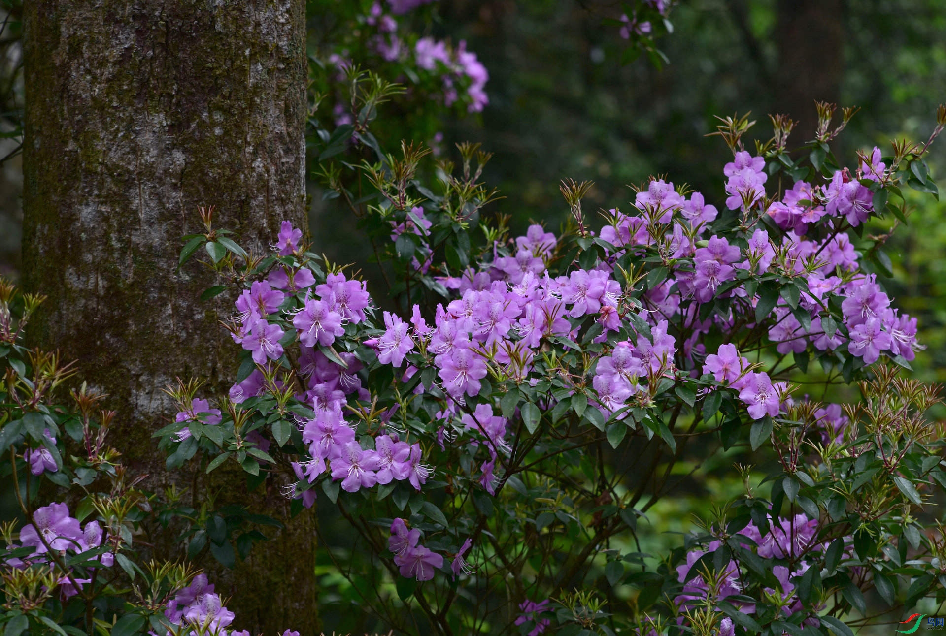 D8I_0830.jpg