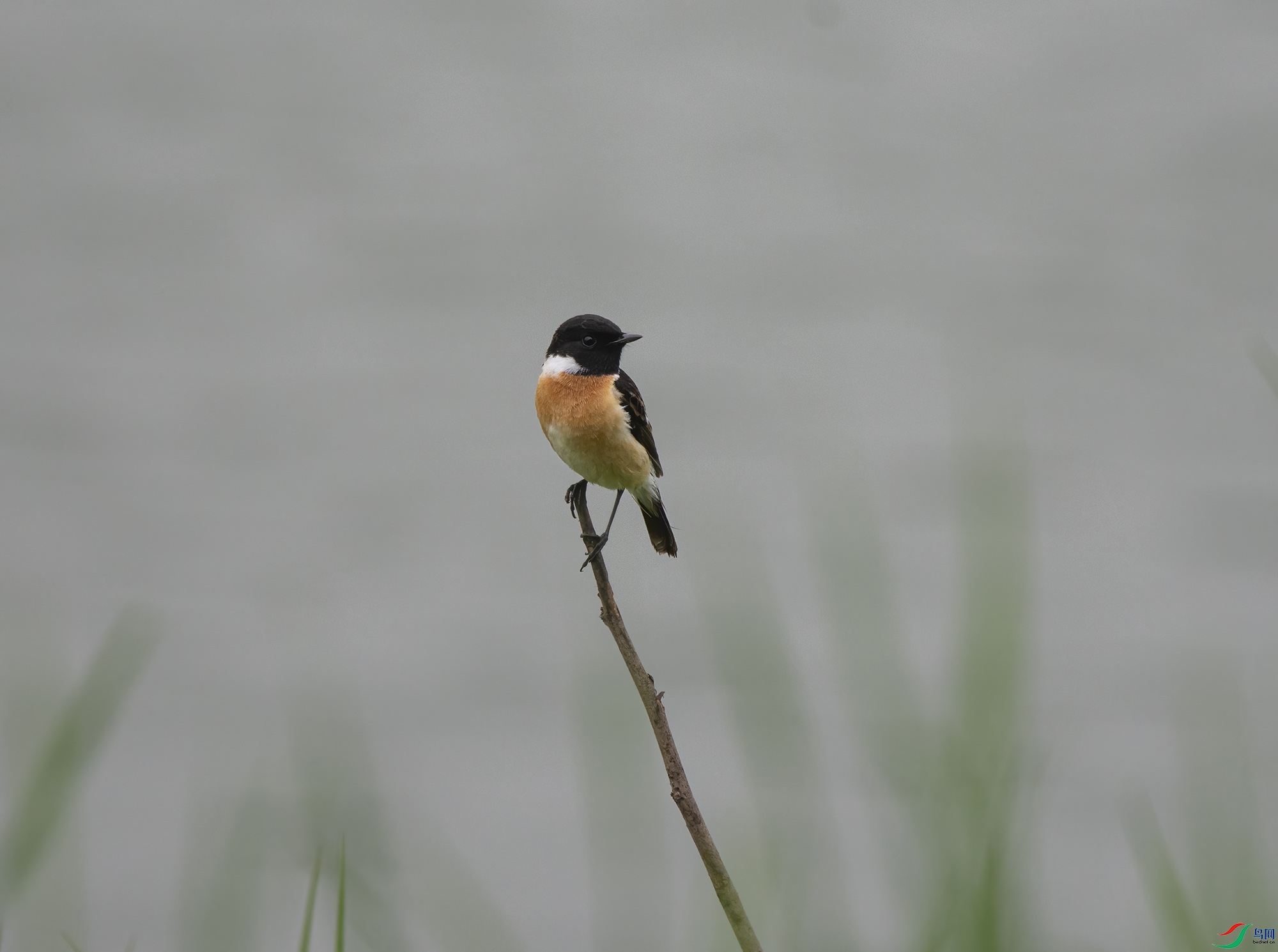 DSC_7883.jpg