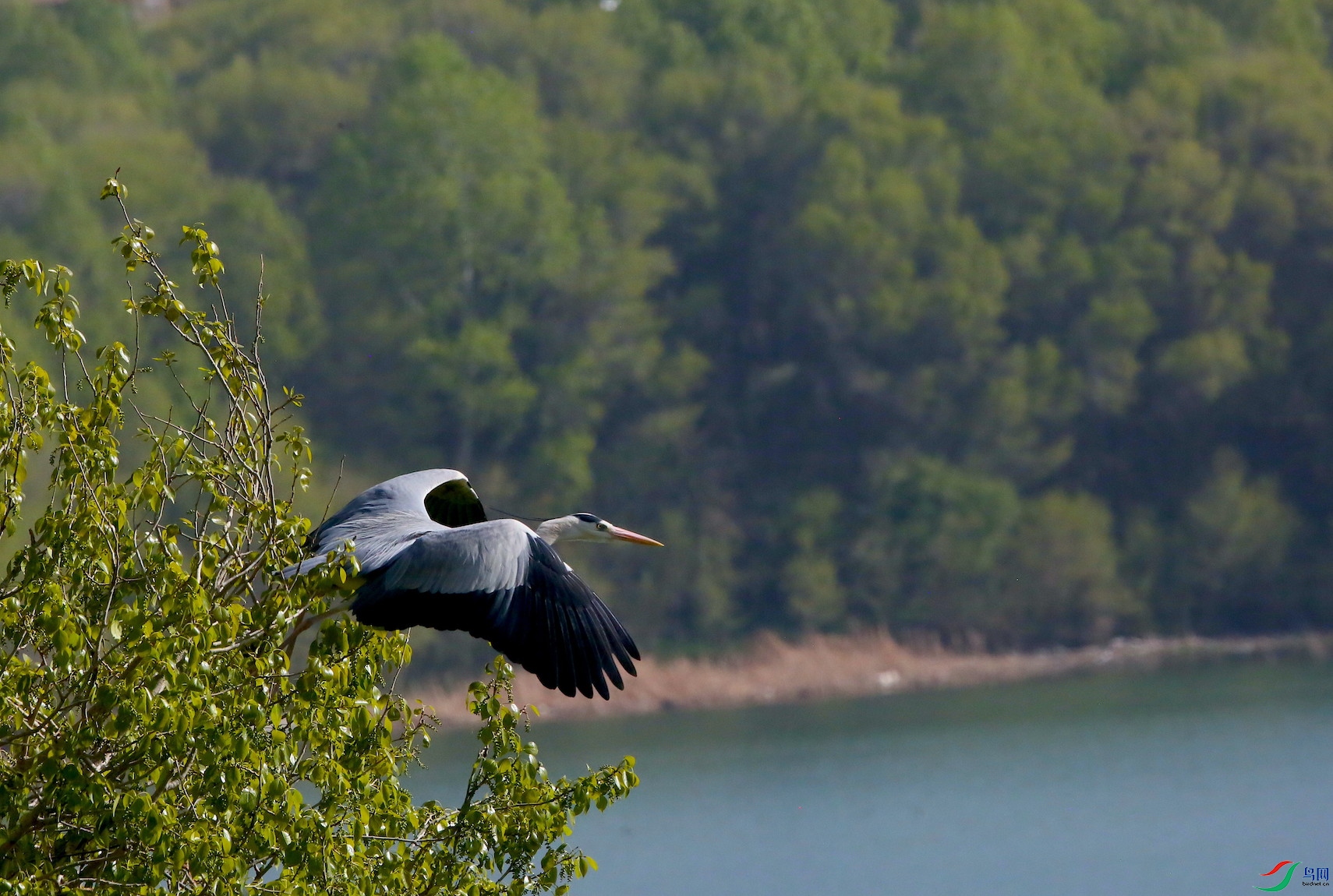 ������ 01