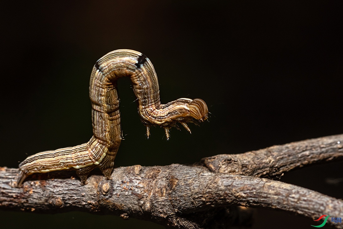 90200517015.jpg