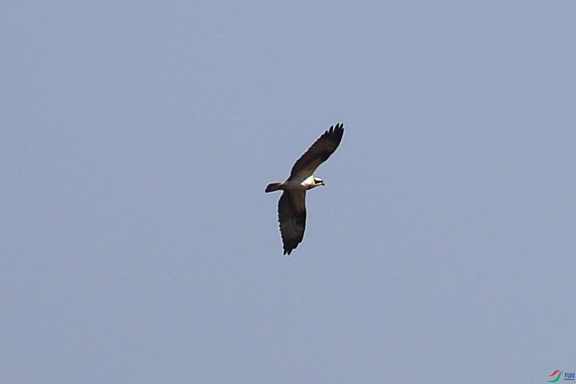 1IMG_5939.JPG