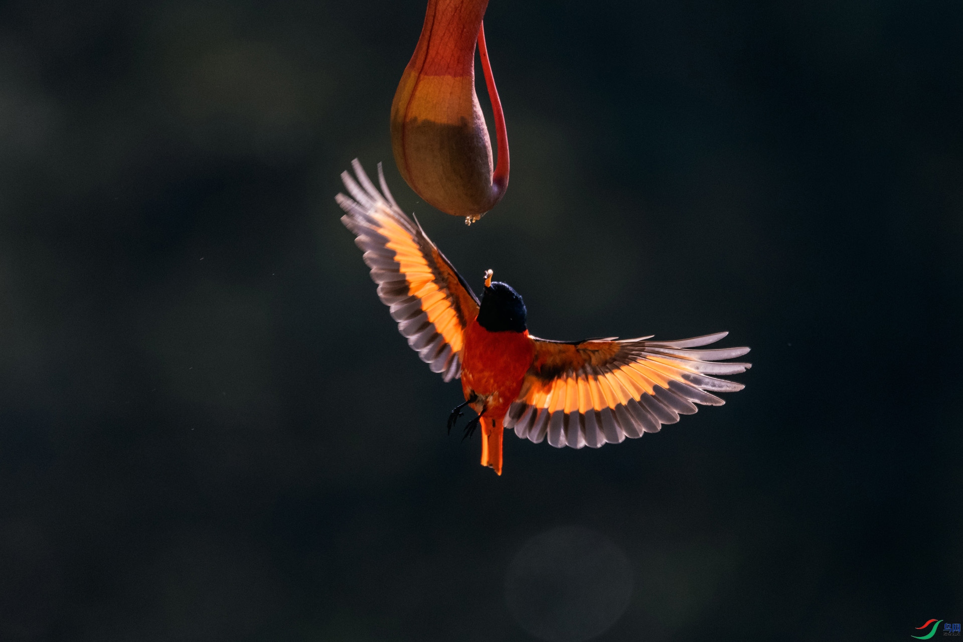 ��_AUU7906����ɽ����21.4.12��-1.jpg