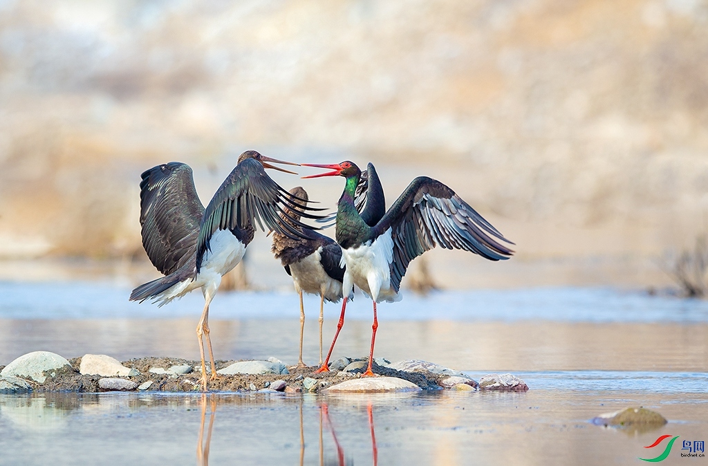 B79T1202.jpg