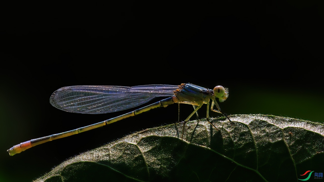 7G9A0256-1_����.jpg
