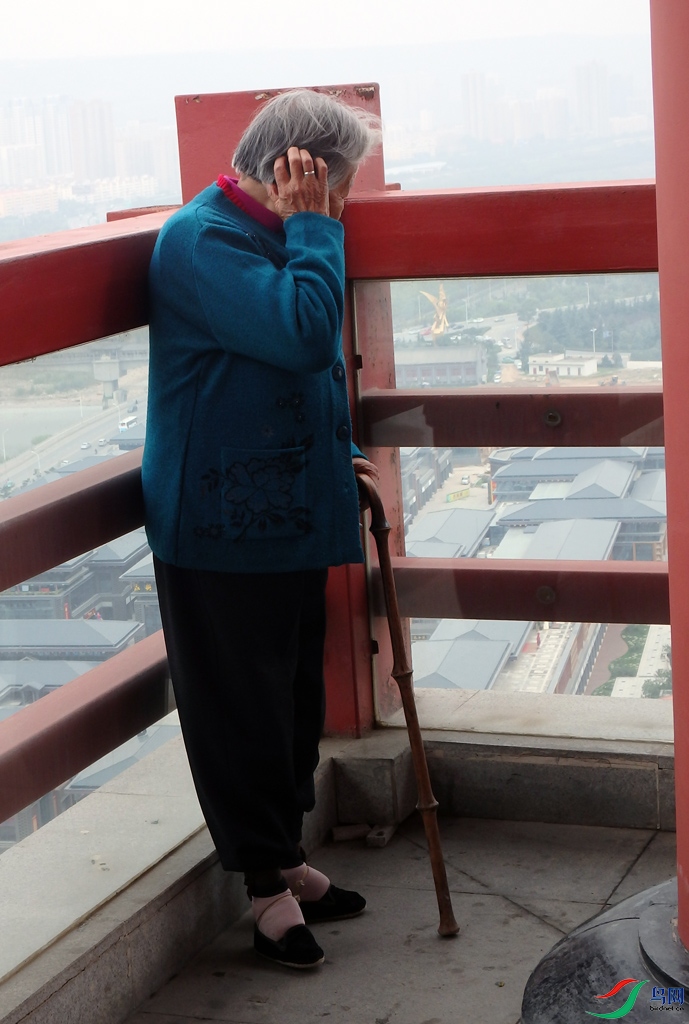 PA052434.jpg