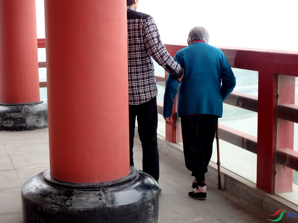 PA052432.jpg