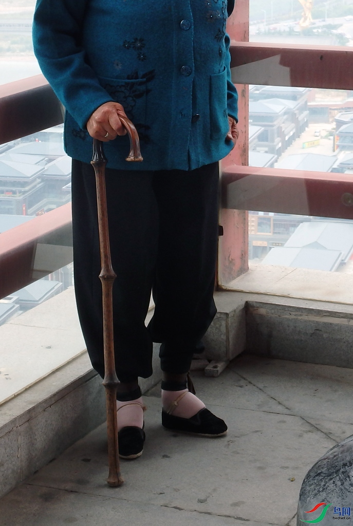 PA052433.jpg