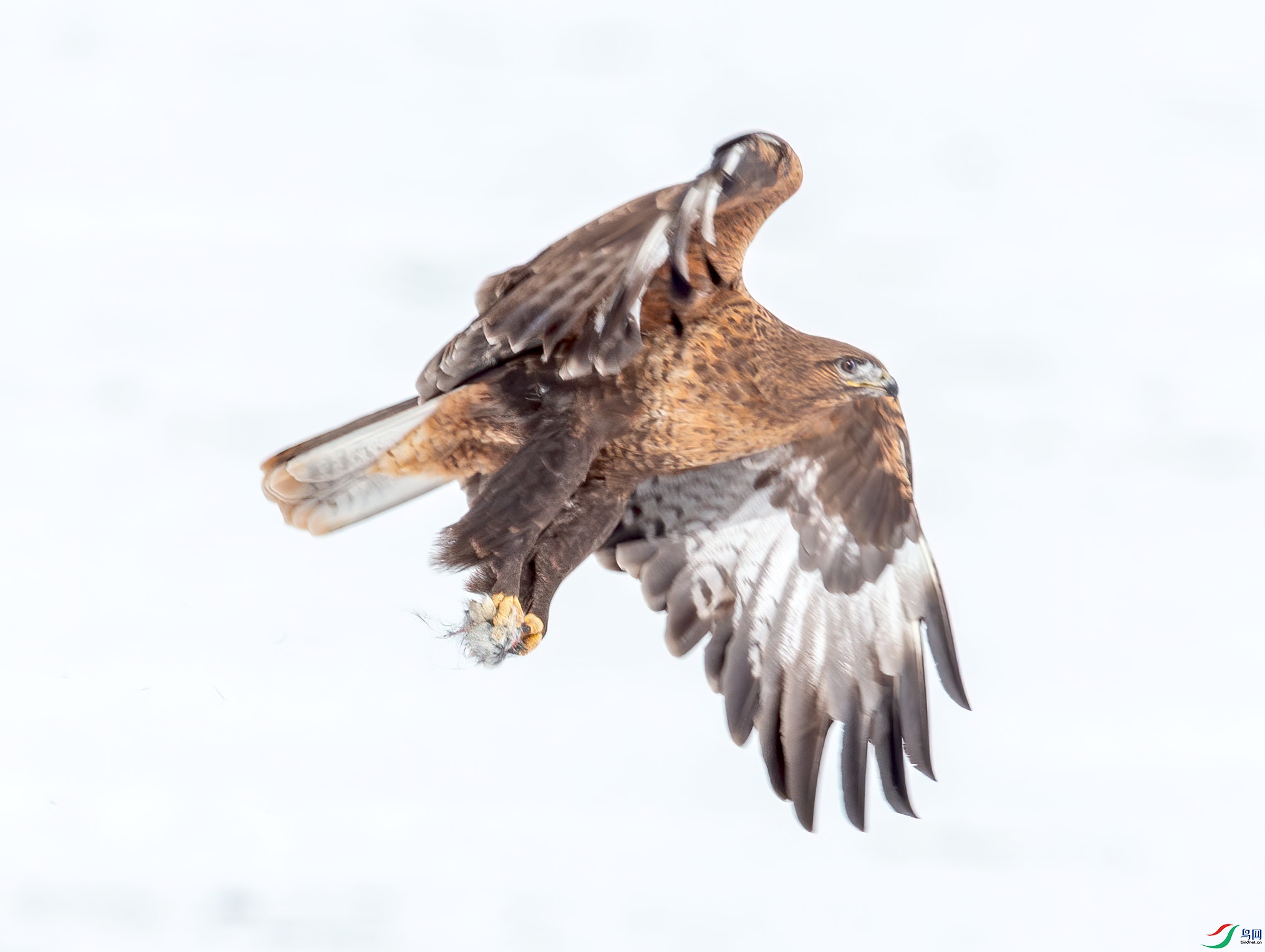 CI6W8147���ش�