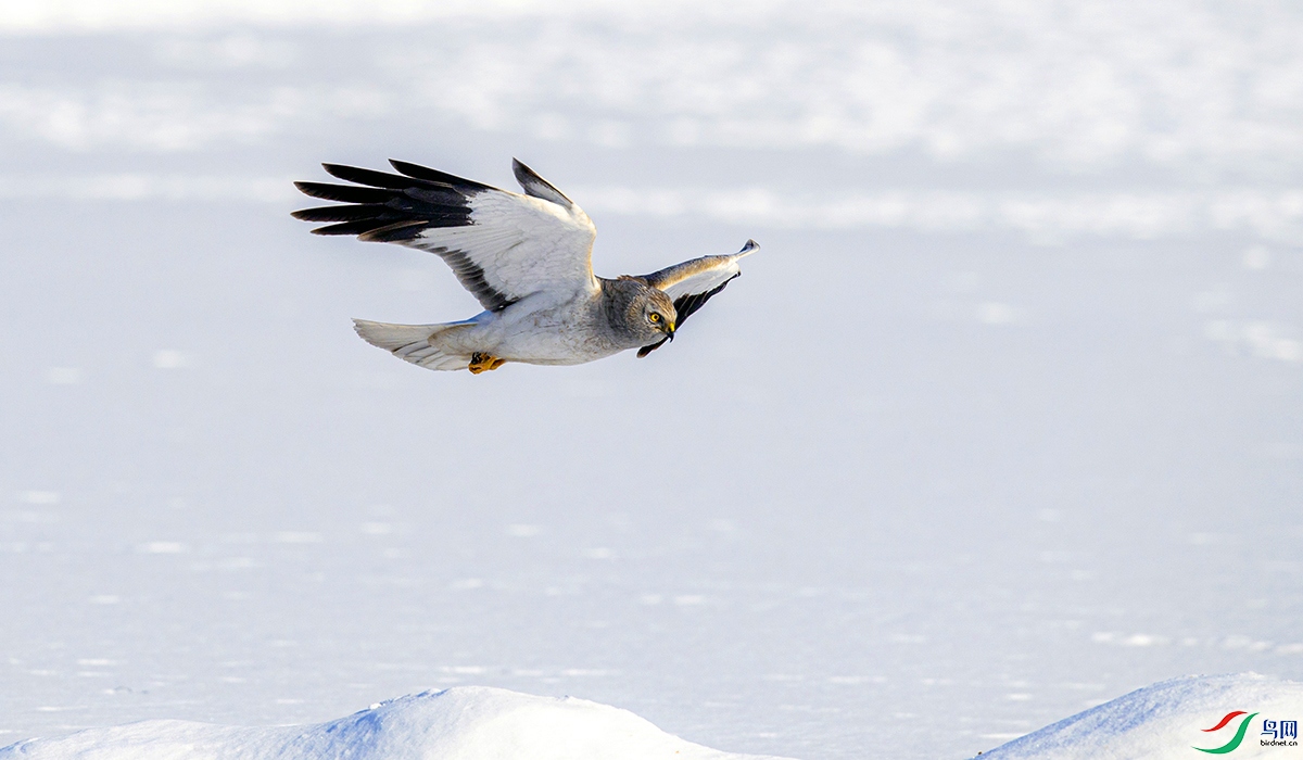 _DSC2564==1x.jpg