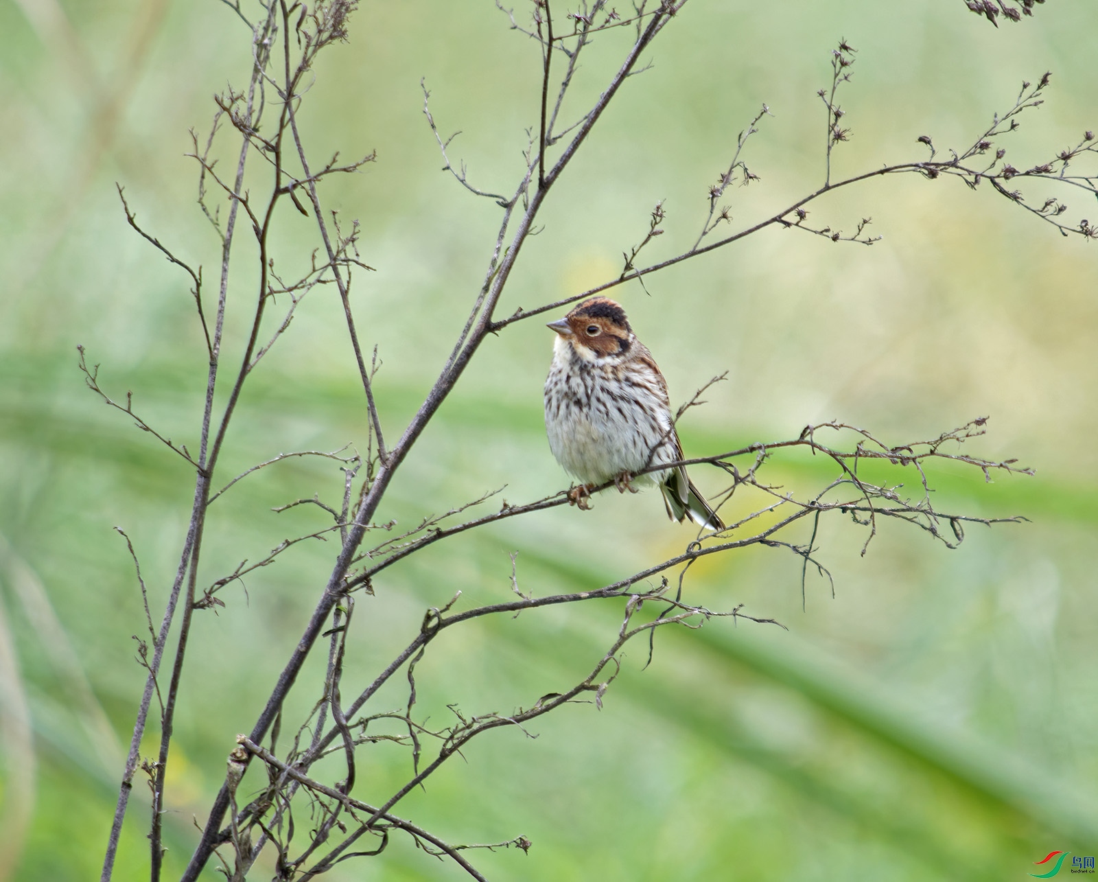DSC_9135.jpg