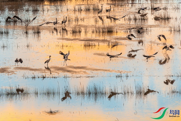 ����Ū��Ӱ