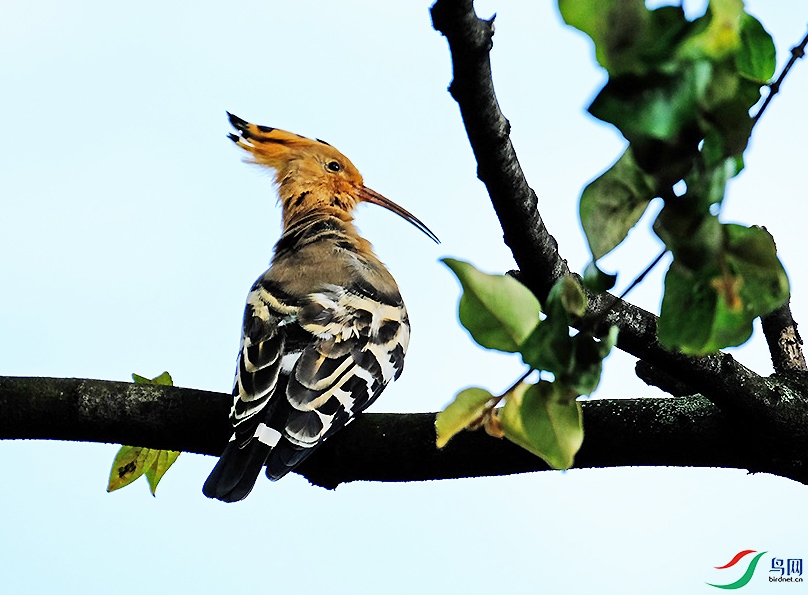 DSCF6216.1.jpg