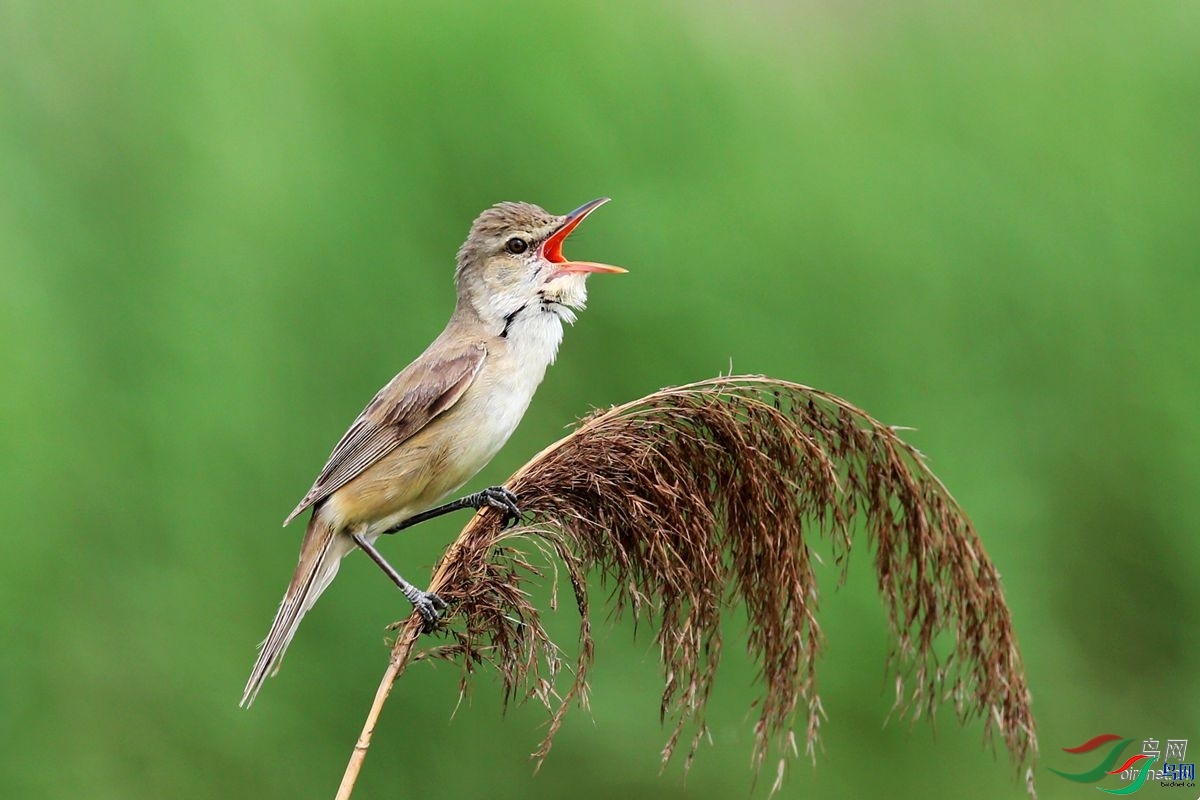 F6.7  ��ʦ����������ʡ�������躣��.jpg