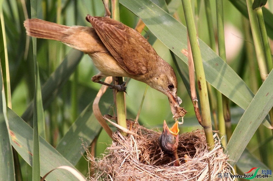 ��andϺ  ��ʦ����������ʡ������ׯ����.jpg