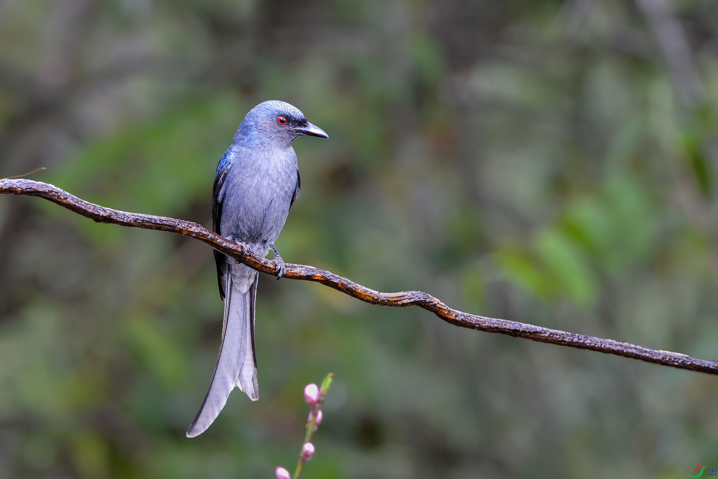 DSC_0329-1.jpg