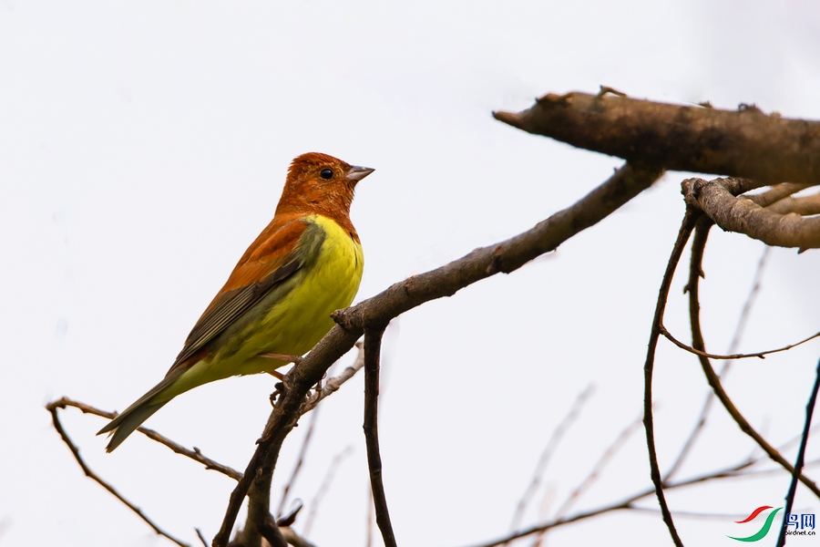 DSC_5752a.jpg