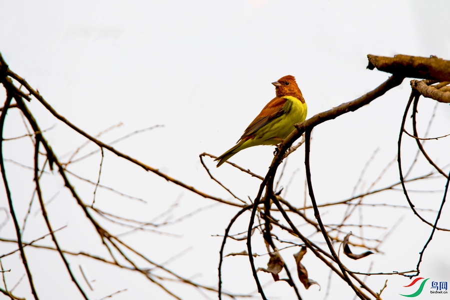 DSC_5749a.jpg