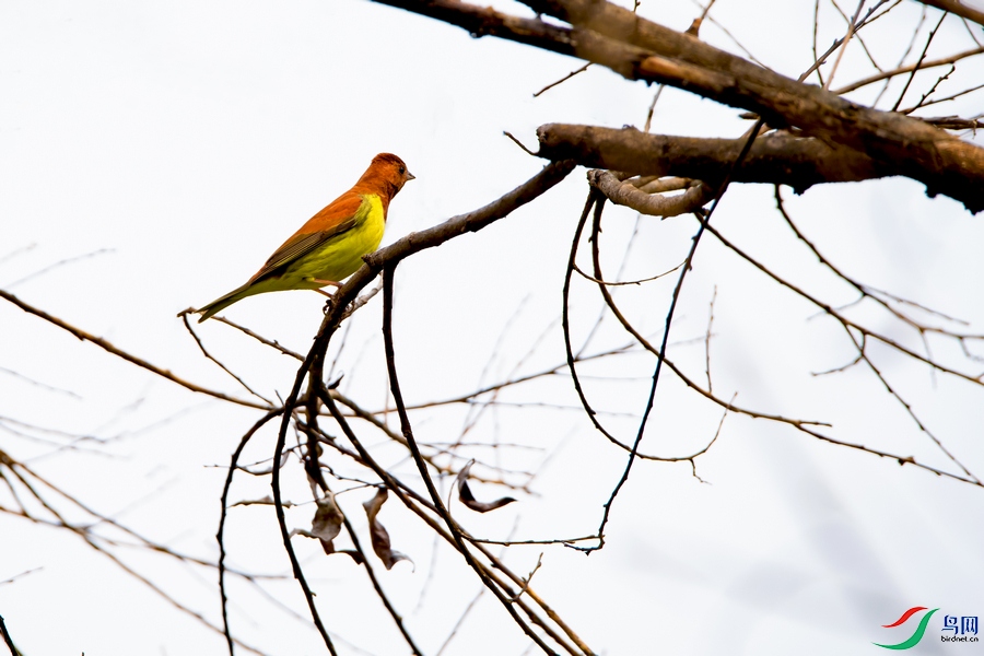 DSC_5693a.jpg