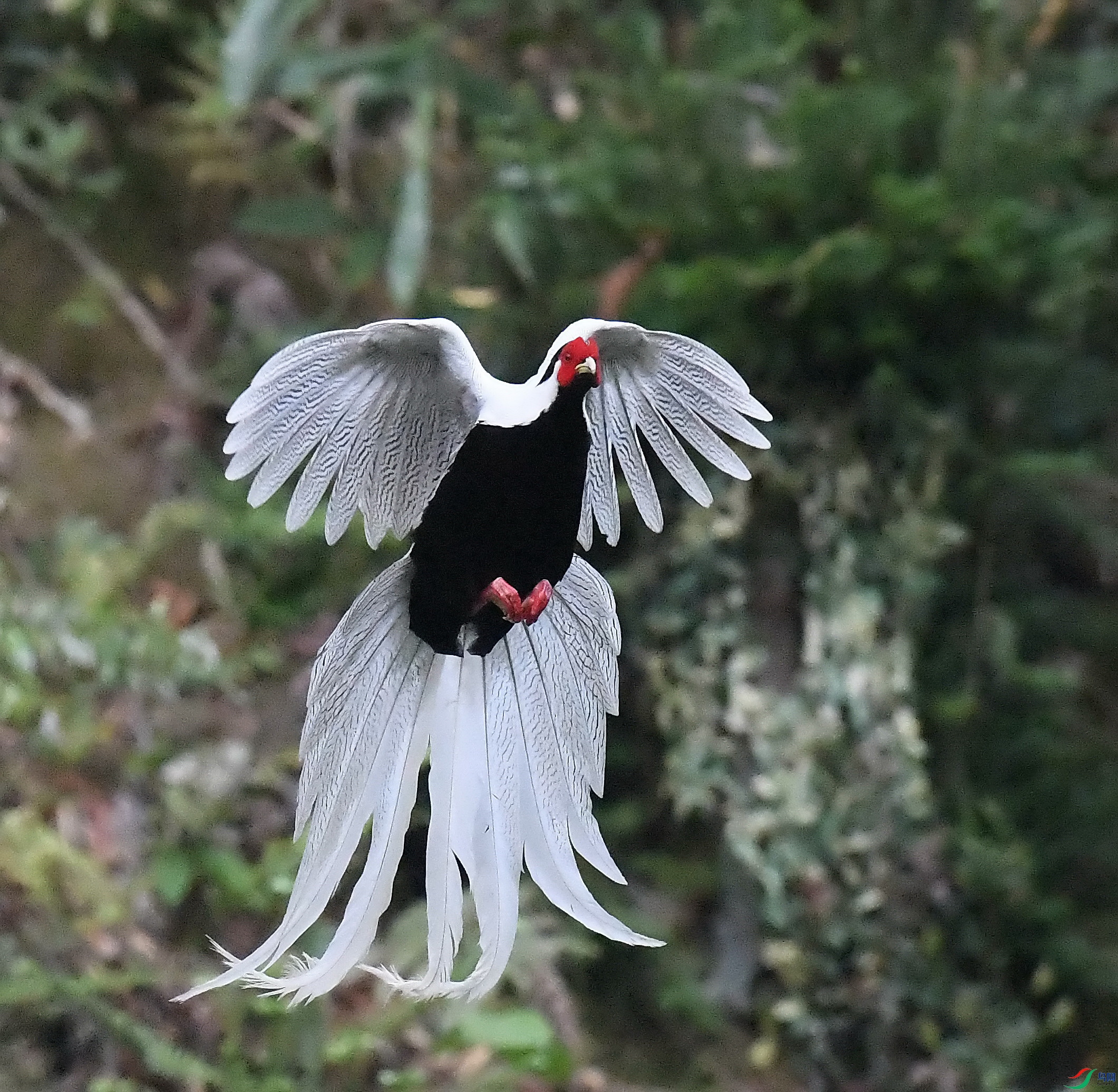 DSC_3068_����.jpg