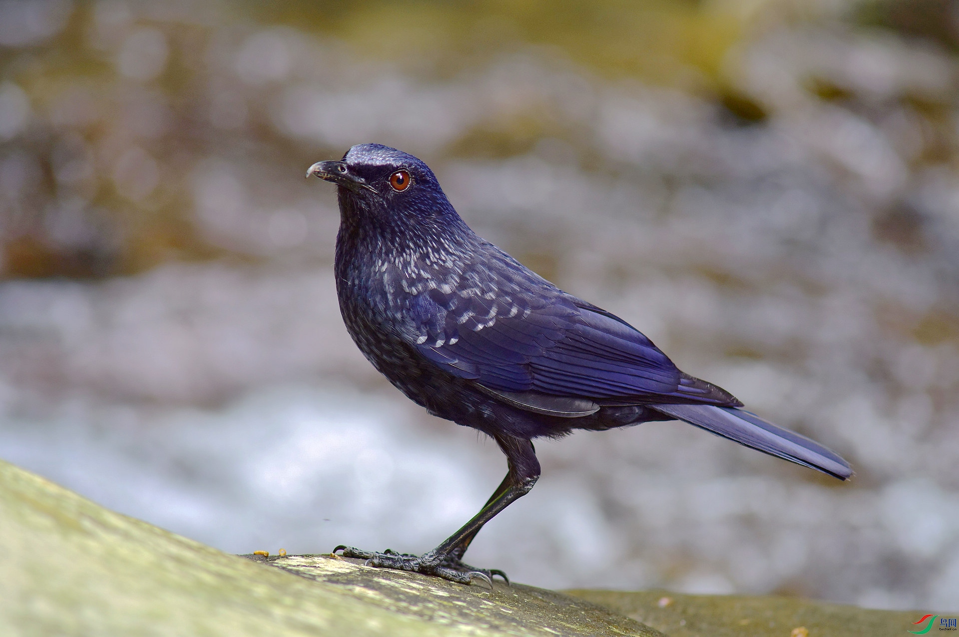 D8I_3460.jpg