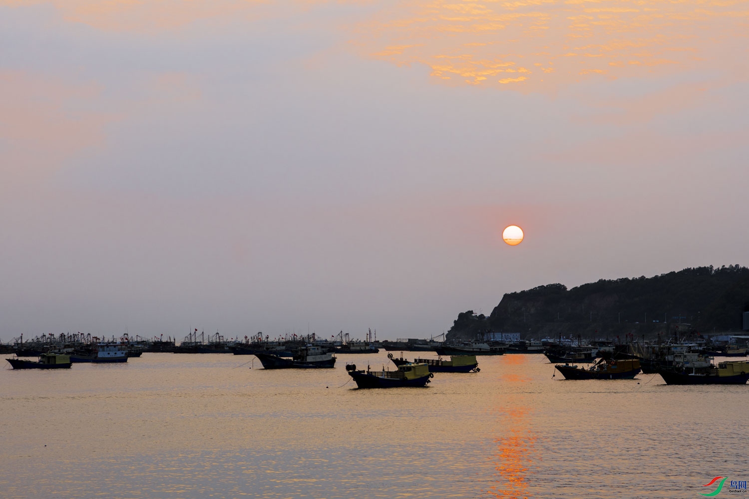DSC_2873.jpg